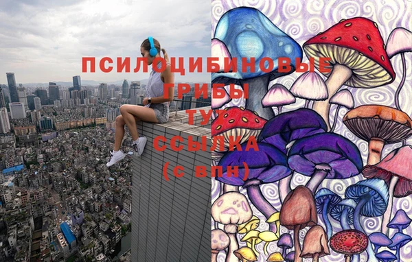 МДПВ Алексеевка