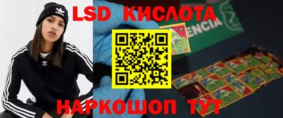 гашик Владимир