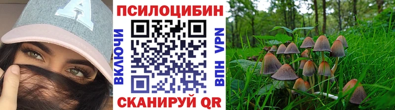omg tor  Углич  площадка Telegram  Псилоцибиновые грибы ЛСД 