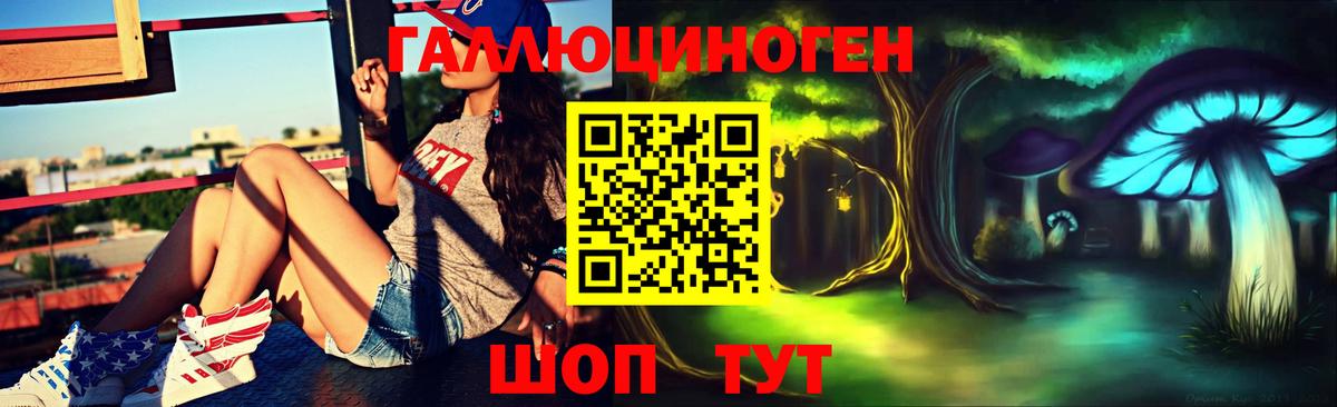 Углич  Псилоцибиновые грибы GOLDEN TEACHER  Вход с VPN 