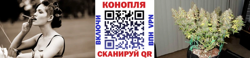 кракен онион  Углич  Канабис конопля 